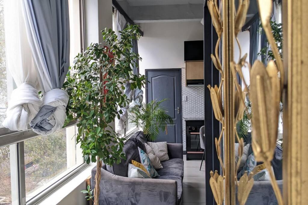 Apartment Cityzen Escape: Blackout Ready